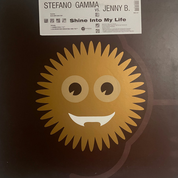 Stefano Gamma - Shine Into My Life - Used Vinyl Record 12" image 1