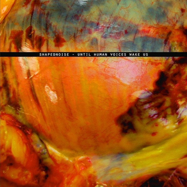 Shapednoise - Until Human Voices Wake Us - Vinyl Record 12" image 1