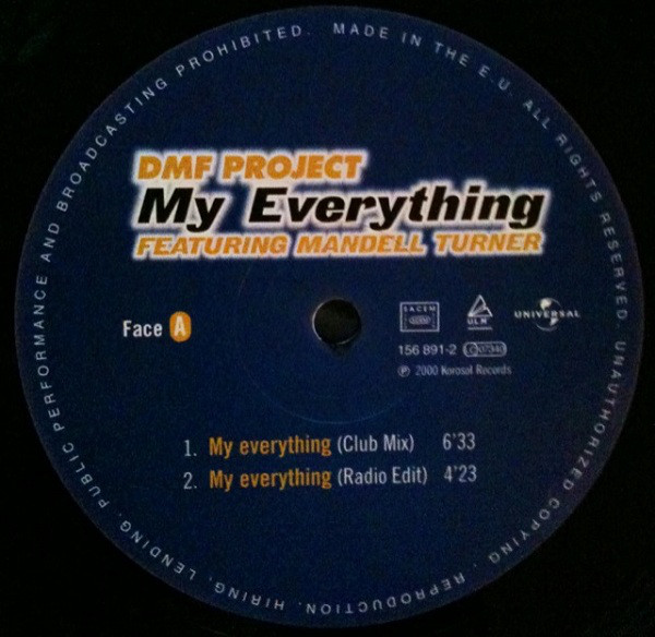DMF Project - My Everything - Used Vinyl Record 12" image 1