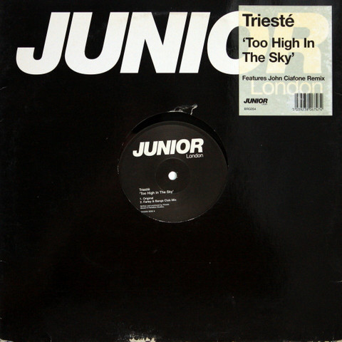 Trieste - Too High In The Sky - Used Vinyl Record 12" image 1