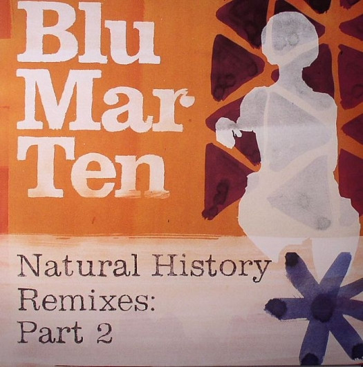 Blu Mar Ten - Natural History Remixes: Part 2 - Vinyl Record 12" image 1