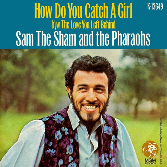 Sam The Sham & The P - How Do You Catch A Girl - Used Vinyl Record 7" image 1