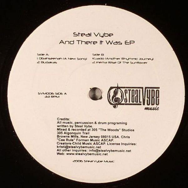 Steal Vybe - And There It Was EP - Vinyl Record 12" image 1