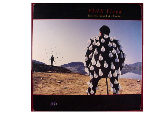 Pink Floyd - Delicate Sound Of Thunder - Used Vinyl Record image 1