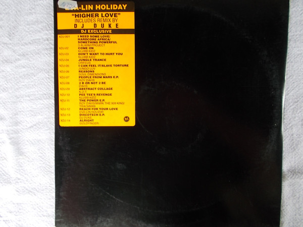 Eva-Lin Holiday - Higher Love - Used Vinyl Record 12" image 1