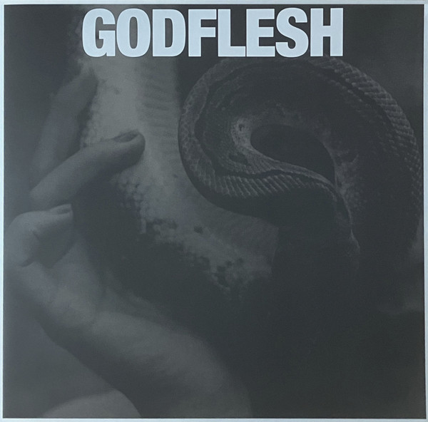 Godflesh - Purge - Vinyl Record lp image 1
