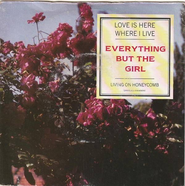 Everything But The G - Love Is Here Where I Live - Used Vinyl Record image 1