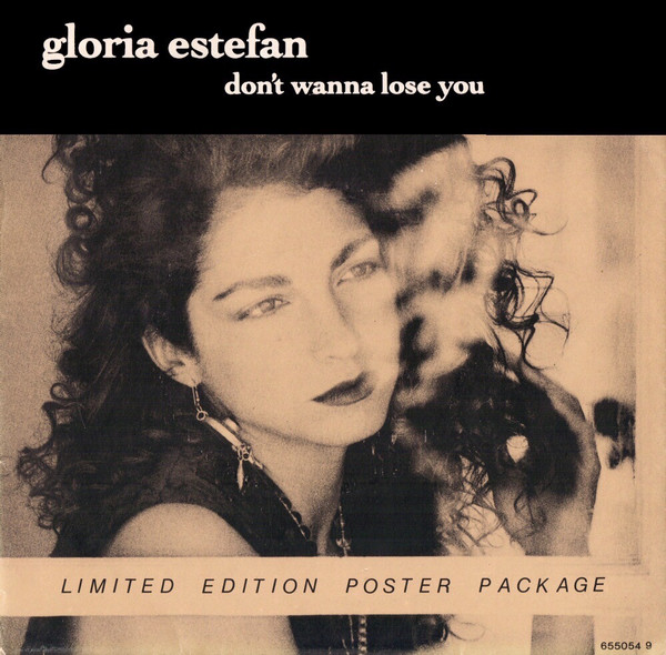 Gloria Estefan - Don't Wanna Lose You - Used Vinyl Record 7" image 1