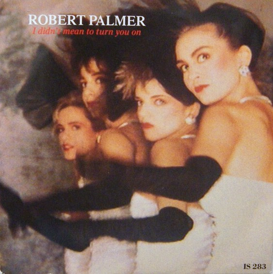 Robert Palmer - I Didn't Mean To Turn You On - Used Vinyl Record 7" image 1