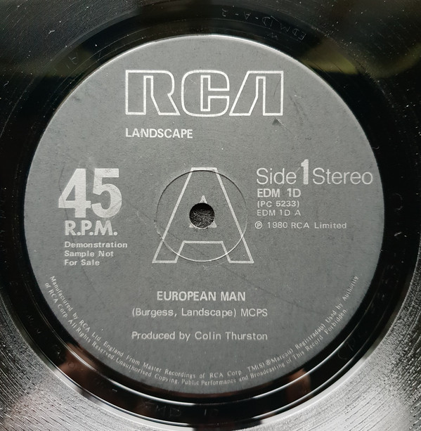 Landscape - European Man - Used Vinyl Record 12" image 1