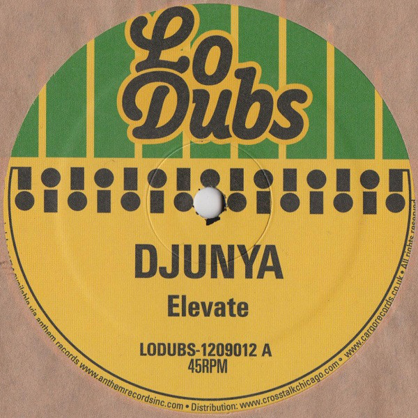 Djunya - Elevate - Vinyl Record 12" image 1