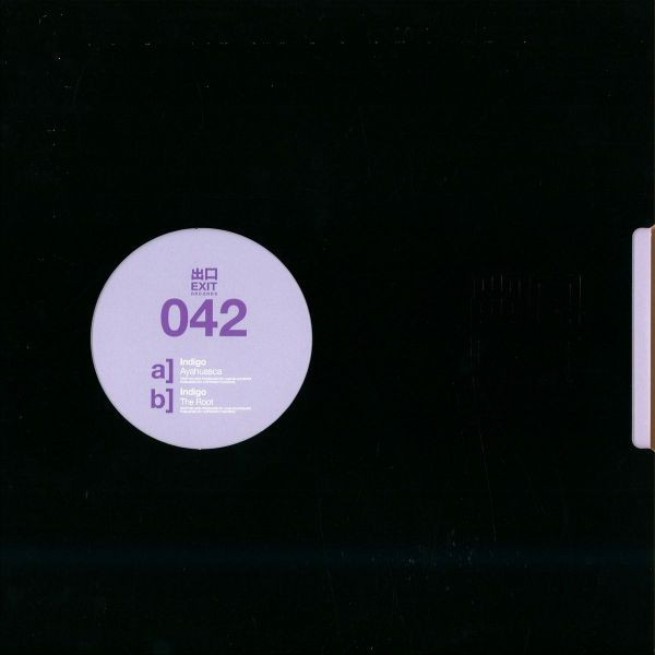 Indigo - Ayahuasca - Vinyl Record 12" image 1