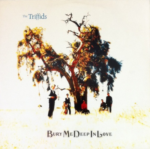 Triffids - Bury Me Deep In Love - Used Vinyl Record 12" image 1