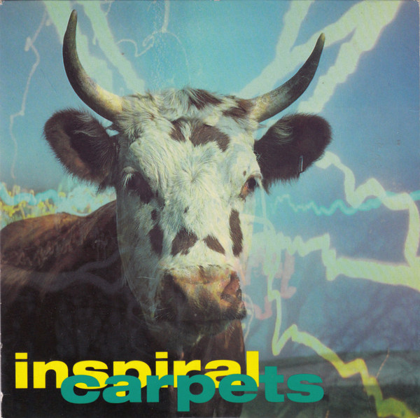 Inspiral Carpets - She Comes In The Fall - Used Vinyl Record 7" image 1