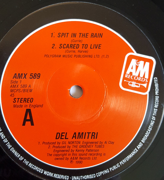 Del Amitri - Spit In The Rain - Used Vinyl Record 10" image 5