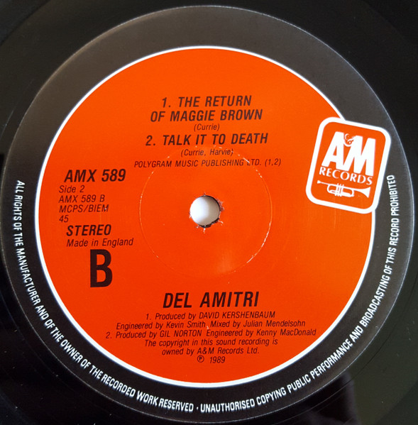 Del Amitri - Spit In The Rain - Used Vinyl Record 10" image 6
