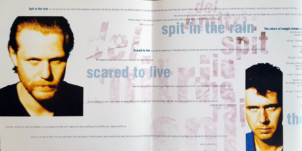 Del Amitri - Spit In The Rain - Used Vinyl Record 10" image 7