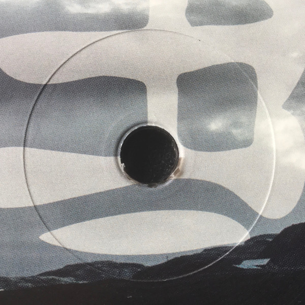 Todd Sines - Internal Dialogue - Vinyl Record 12" image 6