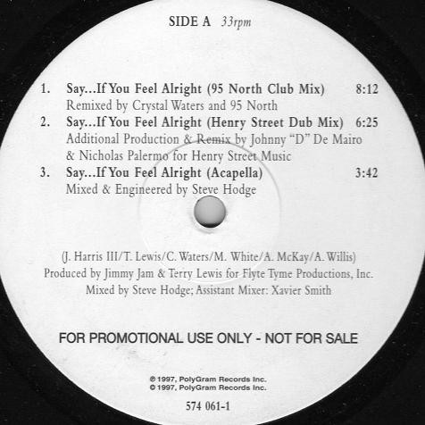 Crystal Waters - Say... If You Feel Alright - Used Vinyl Reco image 2