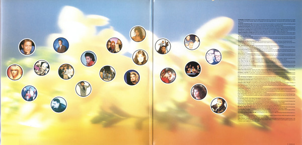 Various - Hits Album - Used Vinyl Record image 2