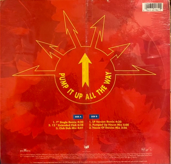 Daisy Dee - Pump It Up All The Way - Used Vinyl Record 12" image 3
