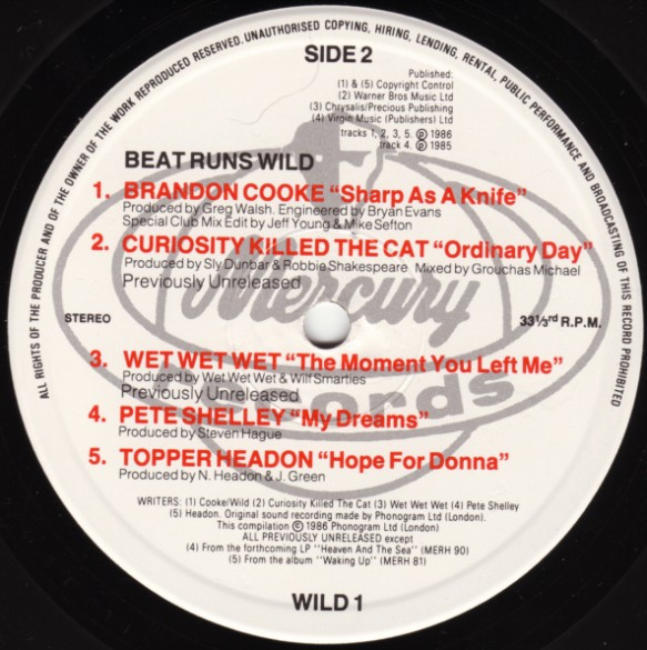 Various - Beat Runs Wild - Used Vinyl Record image 5