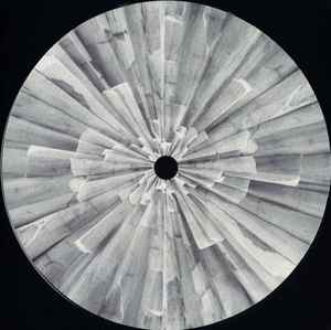 Nikita Zabelin - Trans Siberian Express - Vinyl Record 12" image 1