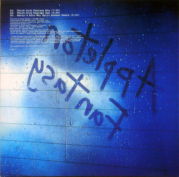 Appleton - Fantasy - Used Vinyl Record 12" image 2