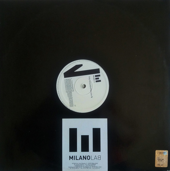Golden - Make You Fly - Vinyl Record 12" image 2