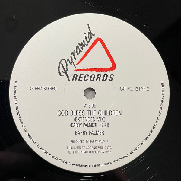 Barry Palmer - God Bless The Children - Used Vinyl Record 12" image 2