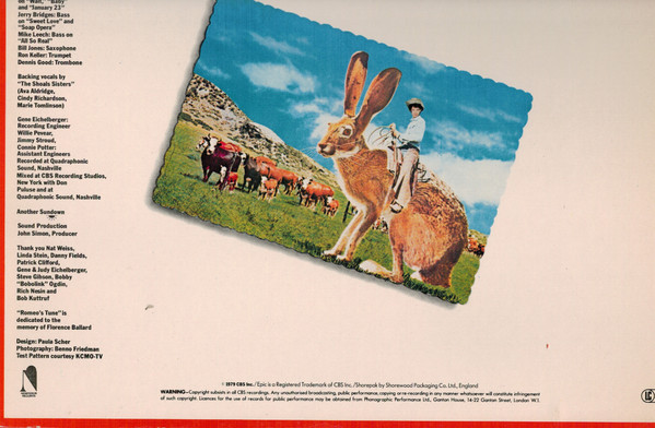Steve Forbert - Jackrabbit Slim - Used Vinyl Record image 3