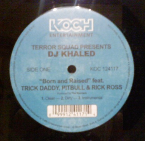 Terror Squad - Born And Raised / Grammy Family - Vinyl Record 12" image 3