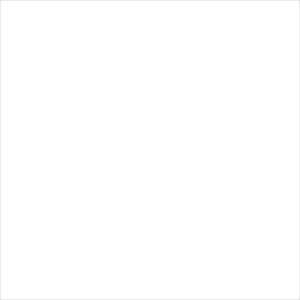 Mechanimal - White Flag Single - Used Vinyl Record 7" image 1