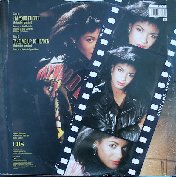 Haywoode - I'm Your Puppet - Used Vinyl Record 12" image 4