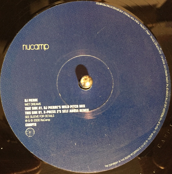 DJ Pierre - Wet Dreams - Used Vinyl Record 12" image 2