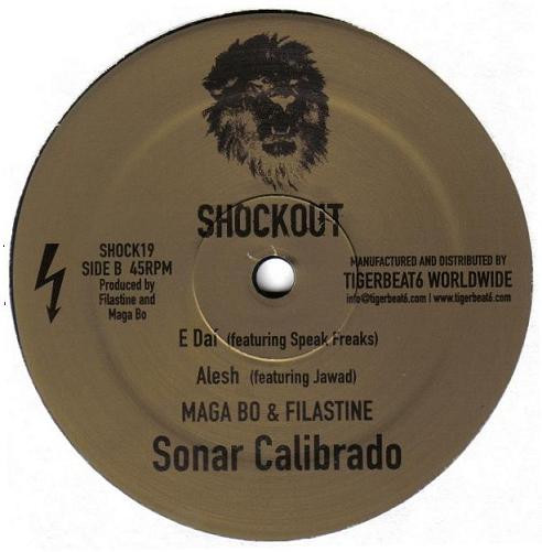 Filastine - Sonar Calibrado - Vinyl Record 12" image 2