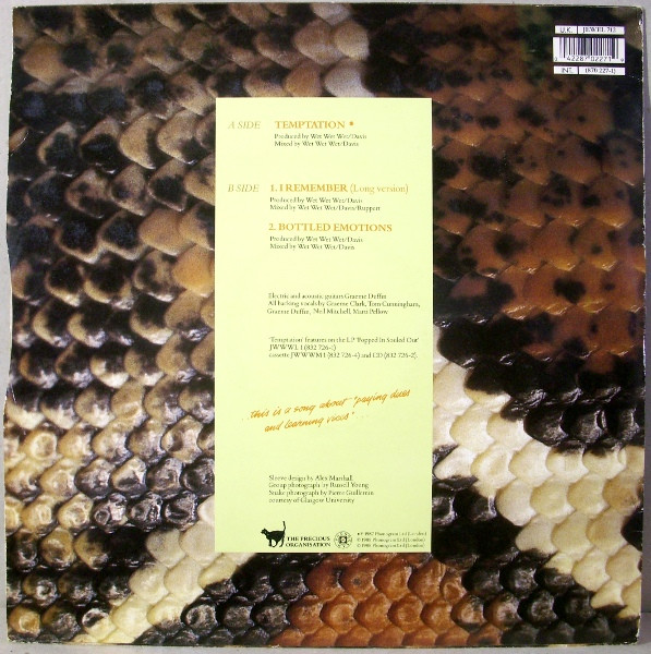 Wet Wet Wet - Temptation - Used Vinyl Record 12" image 2