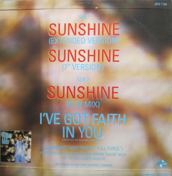 Warren Mills - Sunshine - Used Vinyl Record 12" image 2