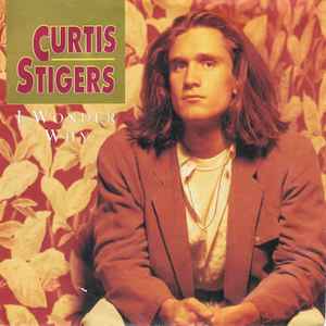 Curtis Stigers - I Wonder Why - Used Vinyl Record 7" image 1