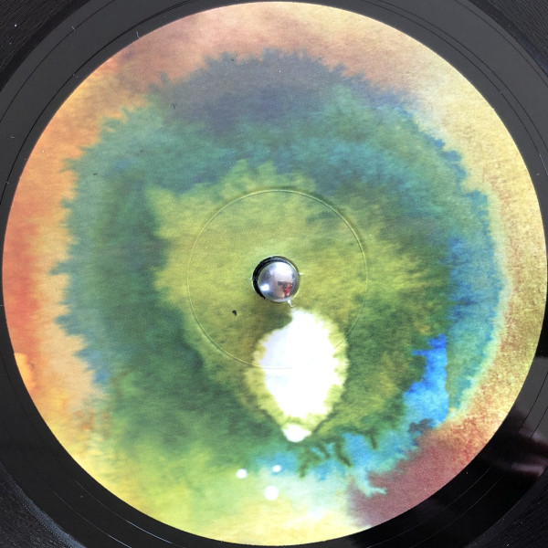 Shackleton - Departing Like Rivers - Vinyl Record image 5