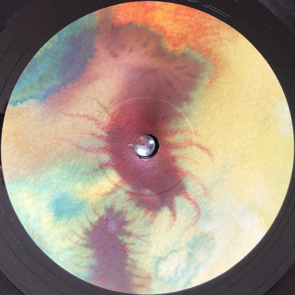 Shackleton - Departing Like Rivers - Vinyl Record image 7