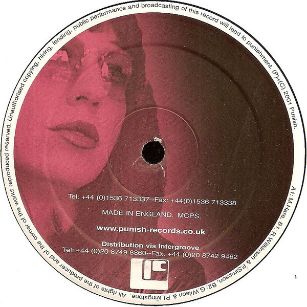 Various - Punish Allstars - Vol.2 - Vinyl Record 12" image 2