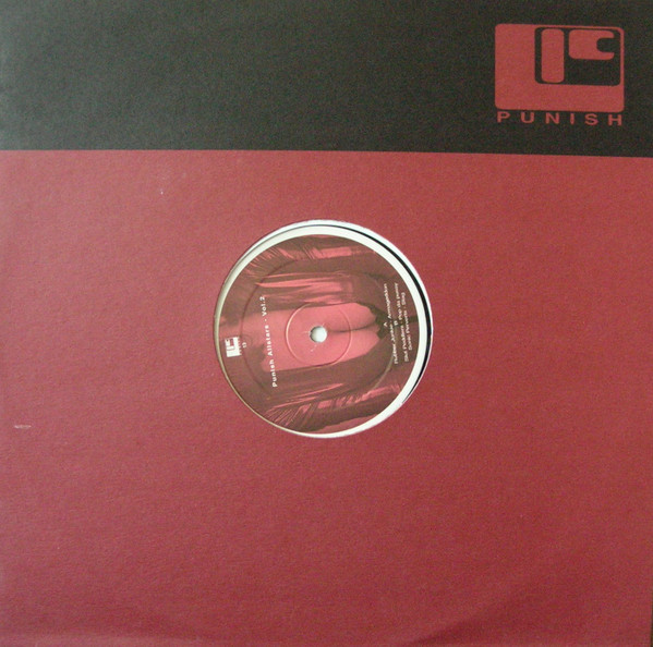 Various - Punish Allstars - Vol.2 - Vinyl Record 12" image 3