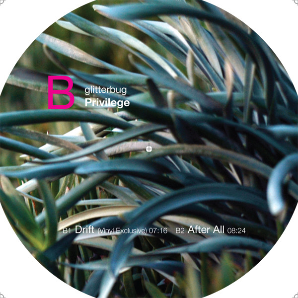 Glitterbug - Privilege - Vinyl Record 12" image 4