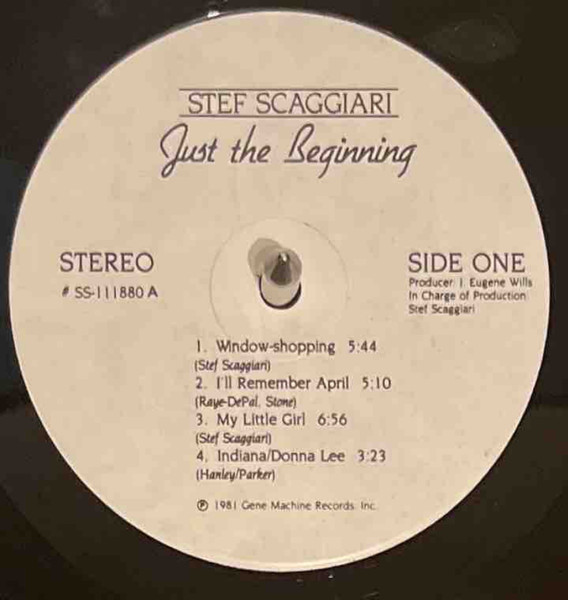 Stefan Scaggiari - Just the Beginning - Used Vinyl Record image 2