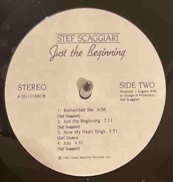 Stefan Scaggiari - Just the Beginning - Used Vinyl Record image 3