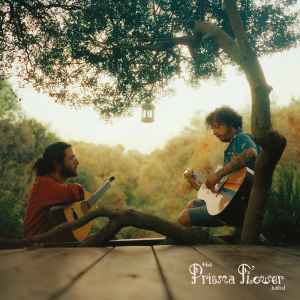 Prisma Flower Band - Vinyl Record image 1