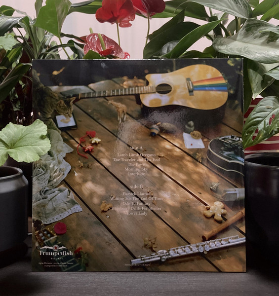 Prisma Flower Band - Vinyl Record image 3