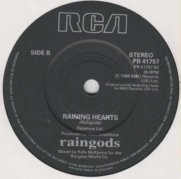 Raingods - Armour - Used Vinyl Record 7" image 4