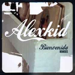 Alexkid - Bienvenida (Remixes) - Used Vinyl Record 12" image 1